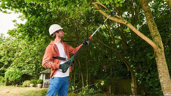 Bosch UniversalChainPole 18 Akku-Hochentaster - werkzeug-online24