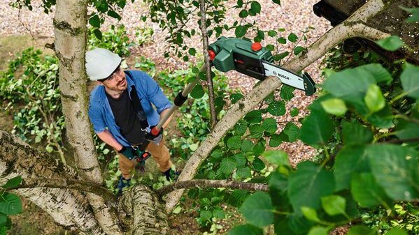 Bosch UniversalChainPole 18 Akku-Hochentaster - werkzeug-online24