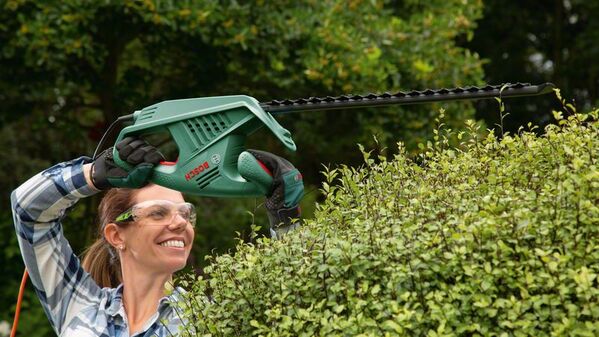 Bosch EasyHedgeCut 55 Elektro-Heckenschere - werkzeug-online24
