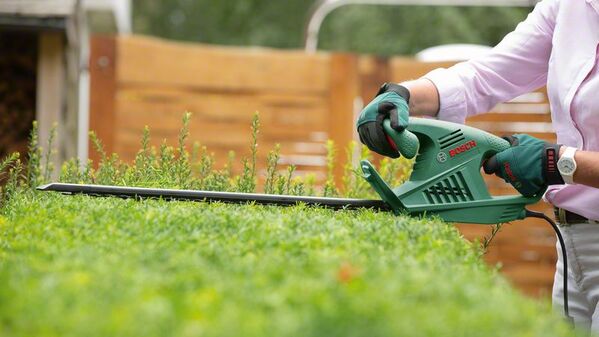 Bosch EasyHedgeCut 55 Elektro-Heckenschere - werkzeug-online24