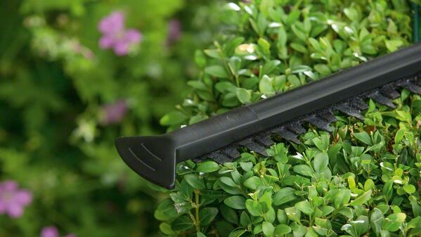 Bosch EasyHedgeCut 55 Elektro-Heckenschere - werkzeug-online24