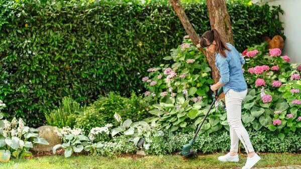 Bosch EasyGrassCut 23 Elektro-Rasentrimmer - werkzeug-online24
