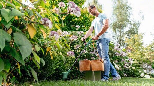 Bosch EasyGrassCut 23 Elektro-Rasentrimmer - werkzeug-online24
