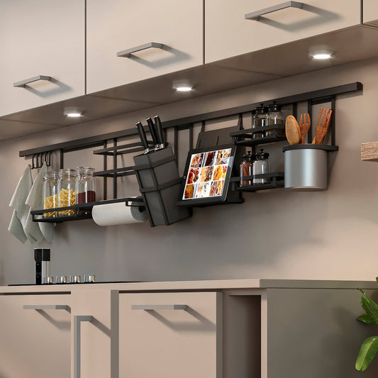 Emuca Küchenrollenhalter für Küchen Organizer - werkzeug-online24